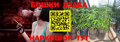 spice Кунгур