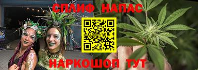 spice Кунгур
