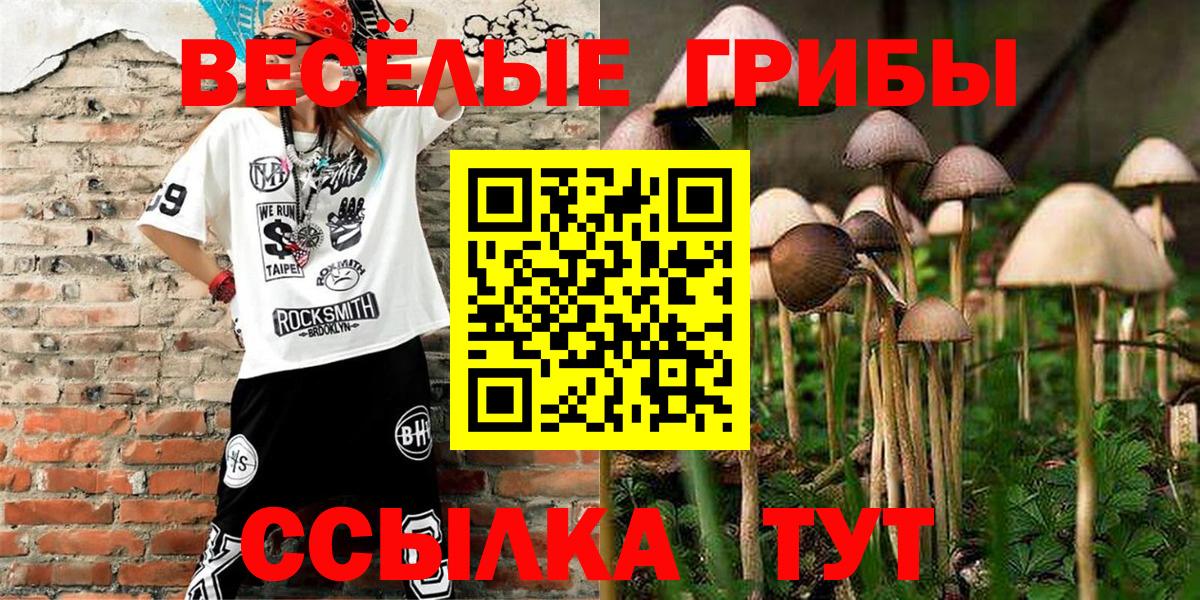 Галлюциногенные грибы ЛСД  Вход с VPN  Псилоцибиновые грибы мицелий  Киселёвск 