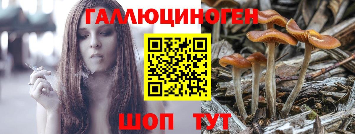 Галлюциногенные грибы GOLDEN TEACHER Киселёвск